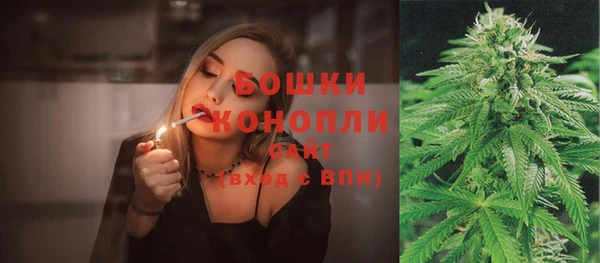 гидра Новозыбков