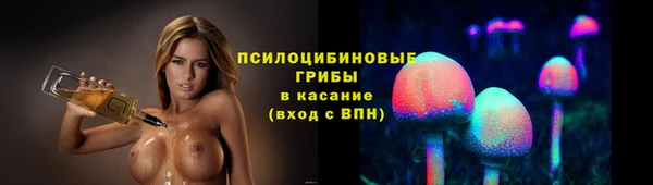 мет Нея