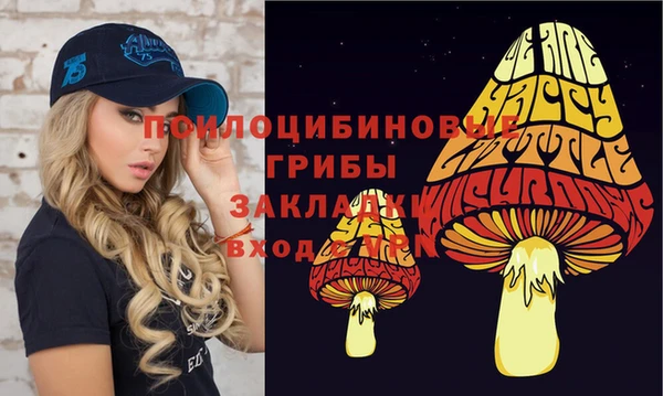 ECSTASY Новодвинск