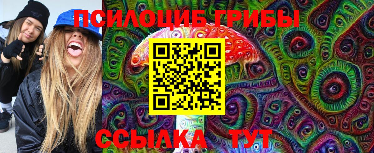 Удомля  Псилоцибиновые грибы GOLDEN TEACHER  Вход с VPN  Псилоцибиновые грибы GOLDEN TEACHER 