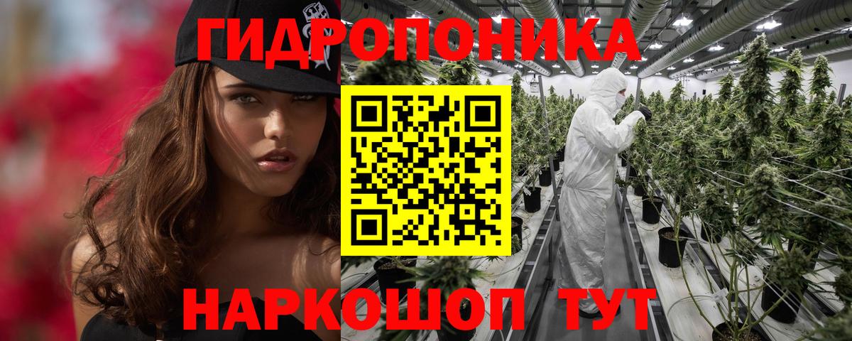 Марихуана сатива  Шишки марихуана конопля  Марихуана Amnesia  Бошки марихуана марихуана  Удомля 