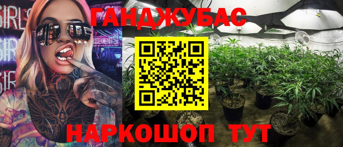 Каннабис SATIVA & INDICA Удомля